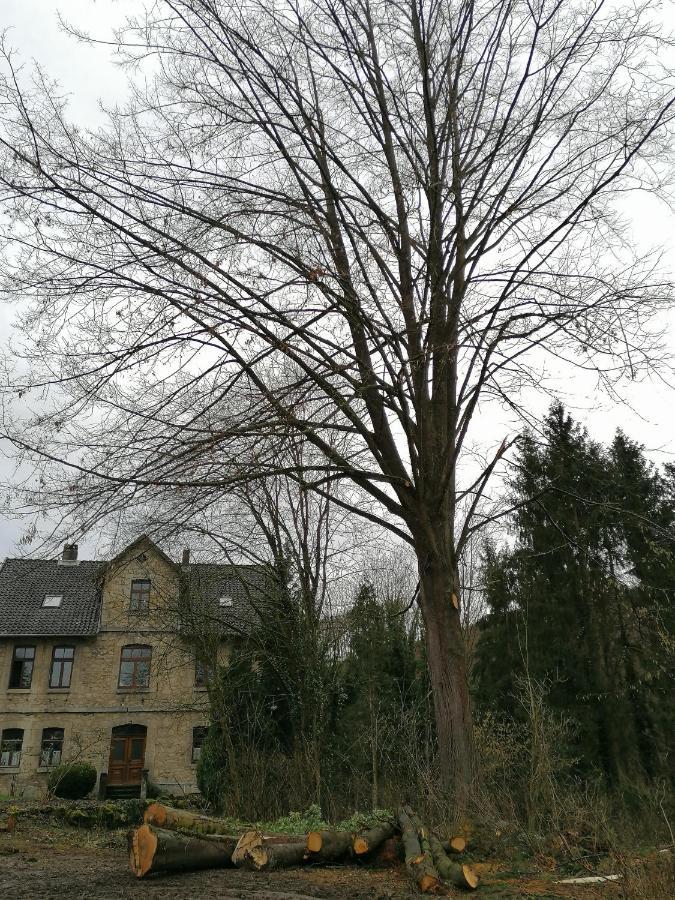 Lippolds Stube Apartment Brunkensen Exterior foto